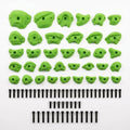 Rock Climbing Holds Set Built for Home Walls, 51 Piece Starter Pack, Jugs Crimps Pinches, Beginner Friendly