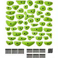 Starter Pack | 51 Premium Plastic Rock Climbing Holds Designed for Beginners | Includes Jugs, Crimps, and Pinches in Multiple Sizes