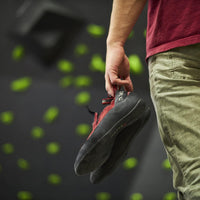 Starter Pack | 51 Premium Plastic Rock Climbing Holds Designed for Beginners | Includes Jugs, Crimps, and Pinches in Multiple Sizes