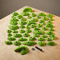 Starter Pack | 51 Premium Plastic Rock Climbing Holds Designed for Beginners | Includes Jugs, Crimps, and Pinches in Multiple Sizes — Studio Shot