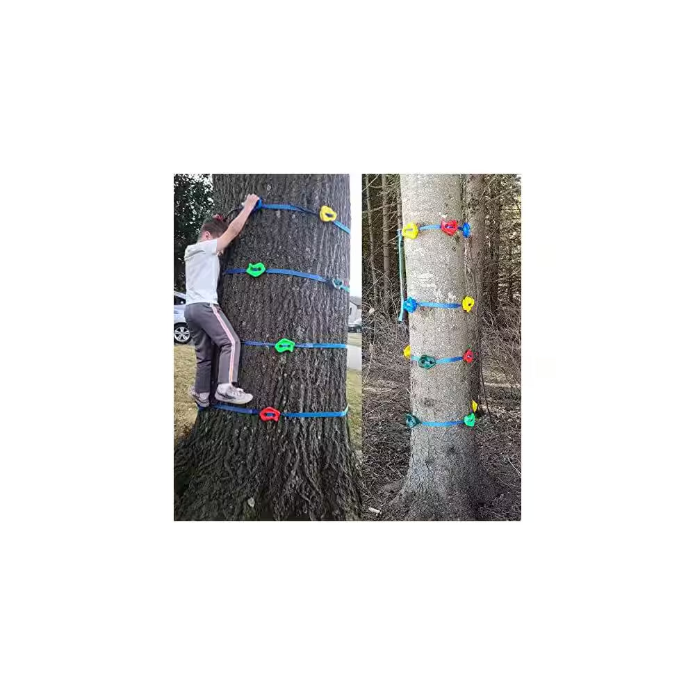 20 Rock Climbing Holds and 6 Ratchet Straps for Kids and Adults, Build Climbing Wall Grips for Indoor and Outdoor Play